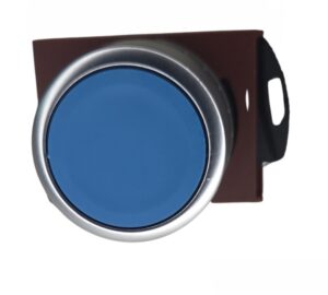 Pulsador 22mm Azul C2PNF/1A-S